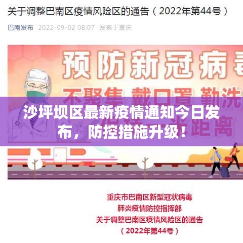 沙坪坝区最新疫情通知今日发布,防控措施升级!