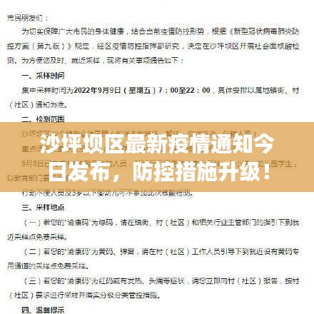 沙坪坝区最新疫情通知今日发布,防控措施升级!