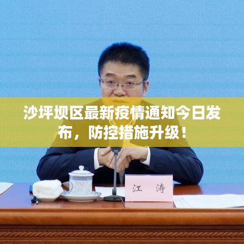 沙坪坝区最新疫情通知今日发布,防控措施升级!