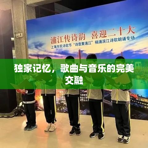 独家记忆,歌曲与音乐的完美交融