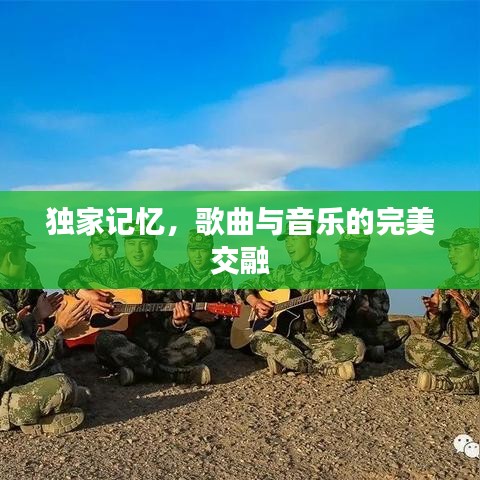 独家记忆,歌曲与音乐的完美交融