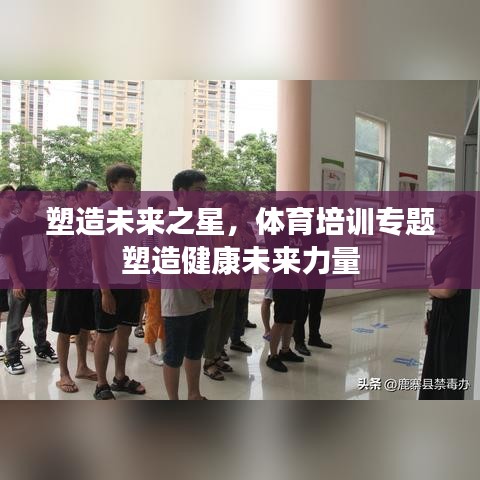 塑造未来之星,体育培训专题塑造健康未来力量