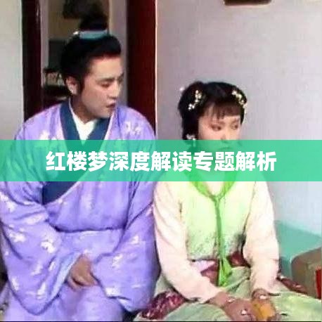 红楼梦深度解读专题解析