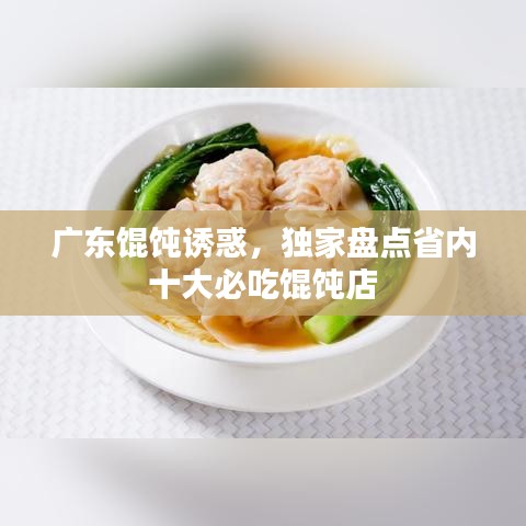 广东馄饨诱惑,独家盘点省内十大必吃馄饨店