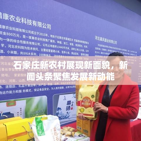 寥寥无几 第3页