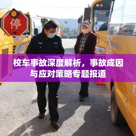 校车事故深度解析，事故成因与应对策略专题报道