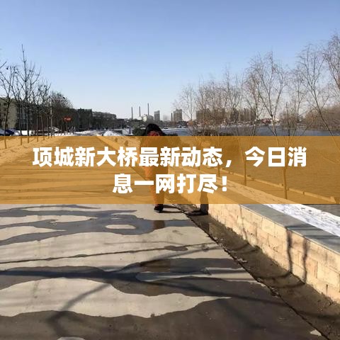 项城新大桥最新动态，今日消息一网打尽！