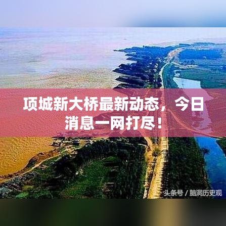 项城新大桥最新动态,今日消息一网打尽!