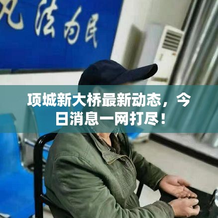 项城新大桥最新动态,今日消息一网打尽!