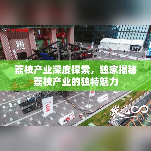 荔枝产业深度探索,独家揭秘荔枝产业的独特魅力