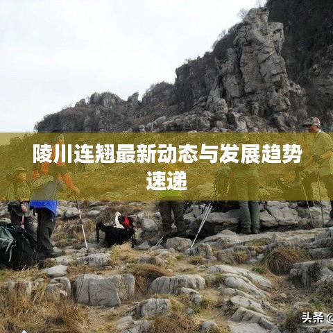 陵川连翘最新动态与发展趋势速递