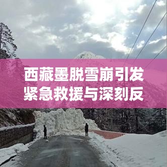 西藏墨脱雪崩引发紧急救援与深刻反思