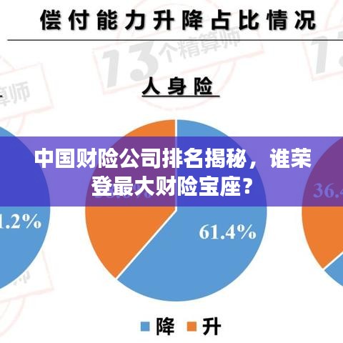 中国财险公司排名揭秘，谁荣登最大财险宝座？