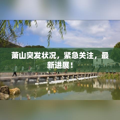 以卵就石 第3页