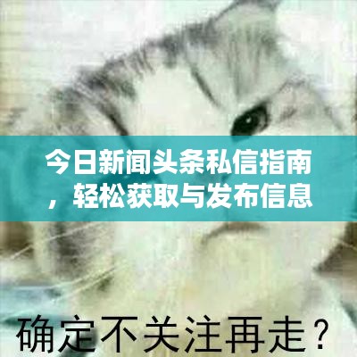 今日新闻头条私信指南,轻松获取与发布信息的秘诀!