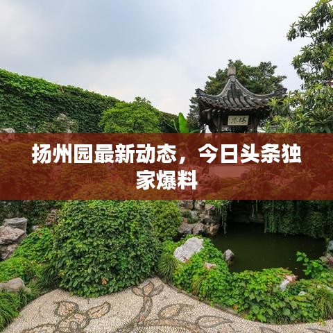 扬州园最新动态,今日头条独家爆料