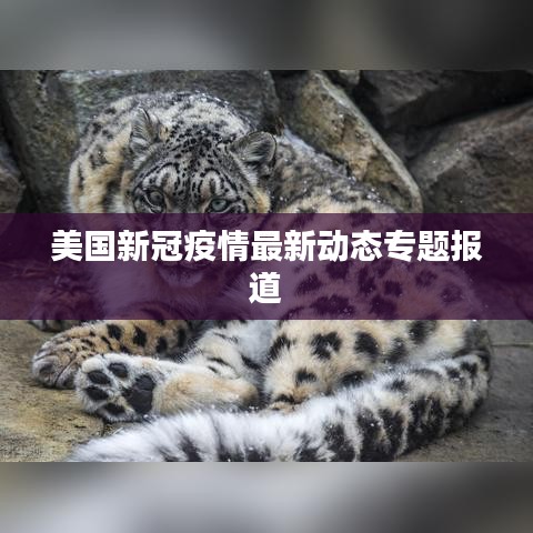 富贵有余 第3页