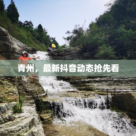 青州,最新抖音动态抢先看