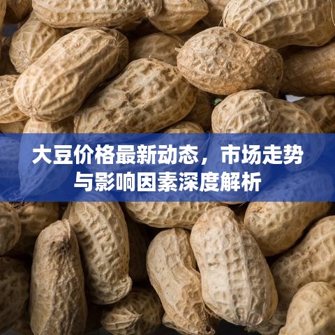 大豆价格最新动态,市场走势与影响因素深度解析
