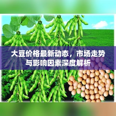 大豆价格最新动态,市场走势与影响因素深度解析