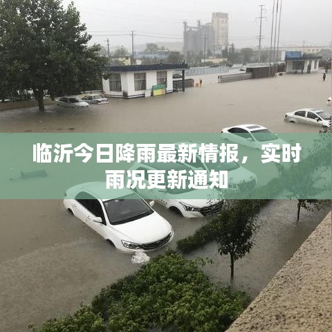 临沂今日降雨最新情报,实时雨况更新通知