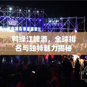 鸭绿江啤酒，全球排名与独特魅力揭秘