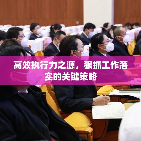 高效执行力之源,狠抓工作落实的关键策略