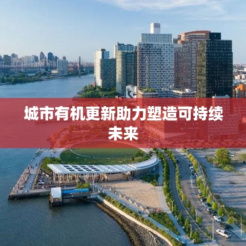 城市有机更新助力塑造可持续未来