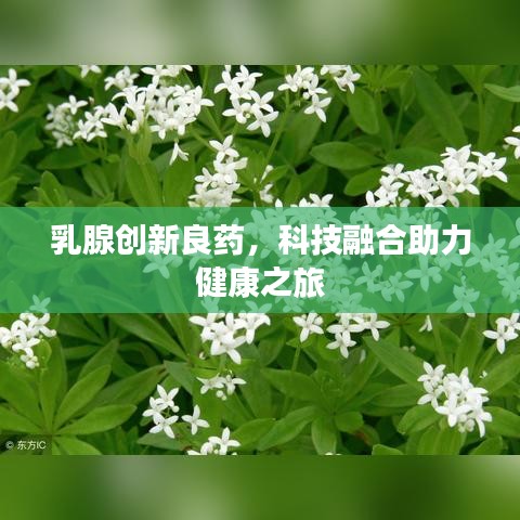 乳腺创新良药,科技融合助力健康之旅