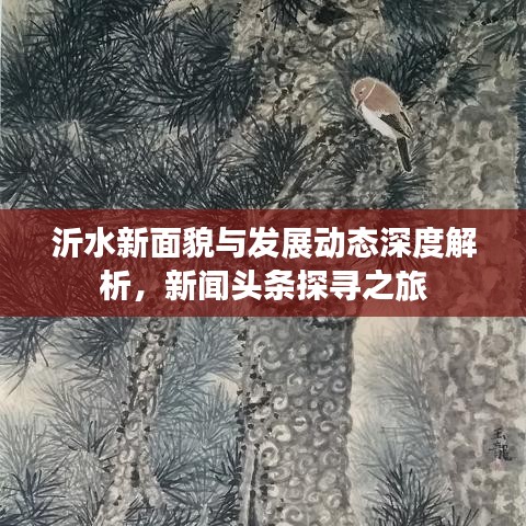 沂水新面貌与发展动态深度解析,新闻头条探寻之旅