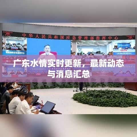 广东水情实时更新,最新动态与消息汇总