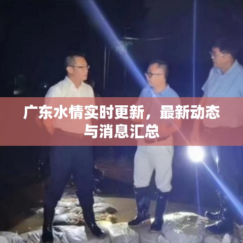 广东水情实时更新,最新动态与消息汇总