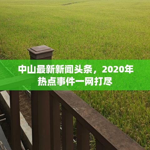 中山最新新闻头条,2020年热点事件一网打尽