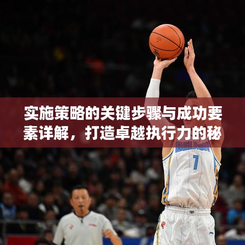 实施策略的关键步骤与成功要素详解,打造卓越执行力的秘诀!