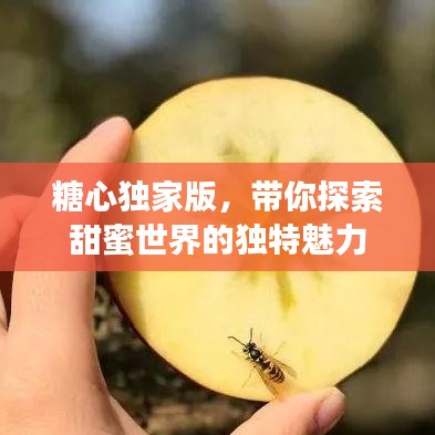 糖心独家版,带你探索甜蜜世界的独特魅力