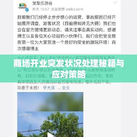 商场开业突发状况处理秘籍与应对策略