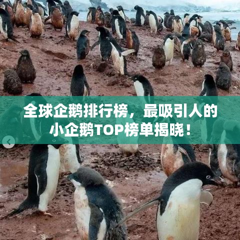 难能可贵 第3页