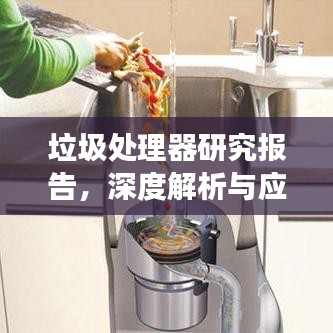 垃圾处理器研究报告,深度解析与应用前景展望