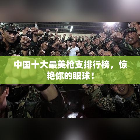 中国十大最美枪支排行榜,惊艳你的眼球!