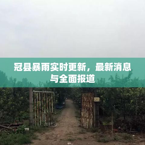 冠县暴雨实时更新,最新消息与全面报道