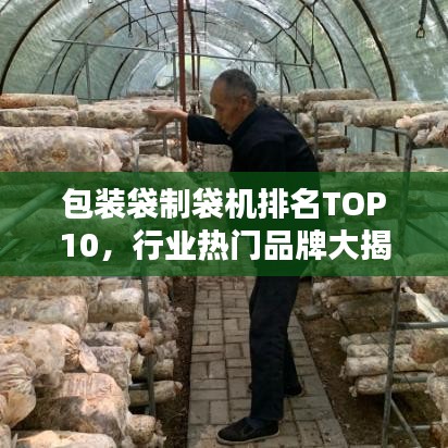 包装袋制袋机排名TOP10,行业热门品牌大揭秘!