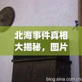 北海事件真相大揭秘，图片证据曝光！