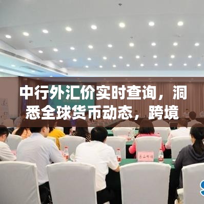 中行外汇价实时查询,洞悉全球货币动态,跨境交易轻松掌握