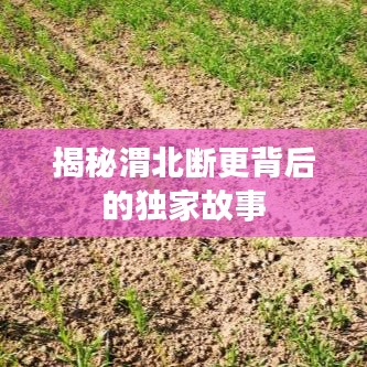 揭秘渭北断更背后的独家故事