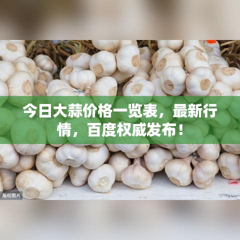 今日大蒜价格一览表，最新行情，百度权威发布！