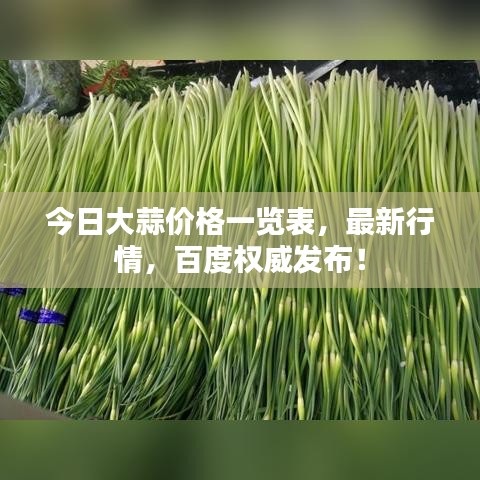 今日大蒜价格一览表,最新行情,百度权威发布!