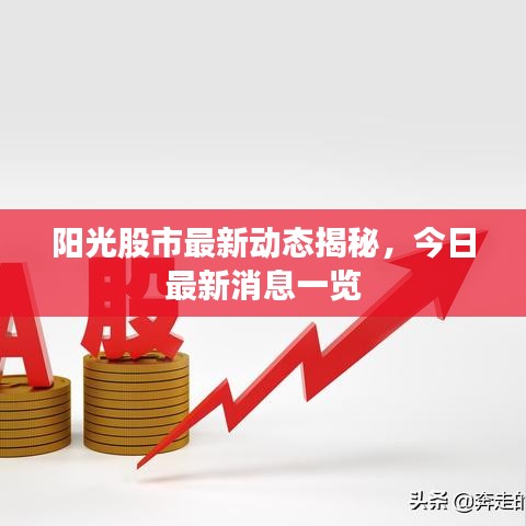 阳光股市最新动态揭秘,今日最新消息一览