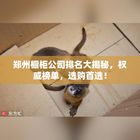 郑州橱柜公司排名大揭秘,权威榜单,选购首选!