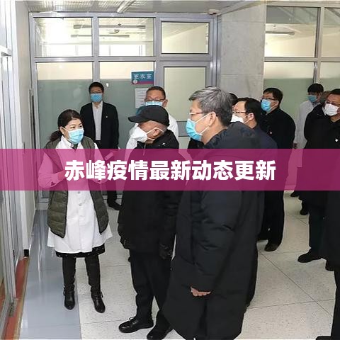 赤峰疫情最新动态更新