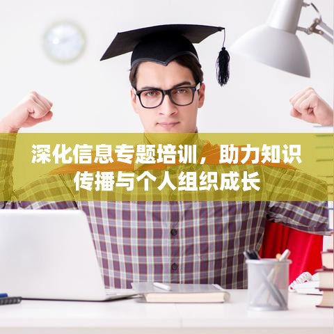 深化信息专题培训,助力知识传播与个人组织成长
